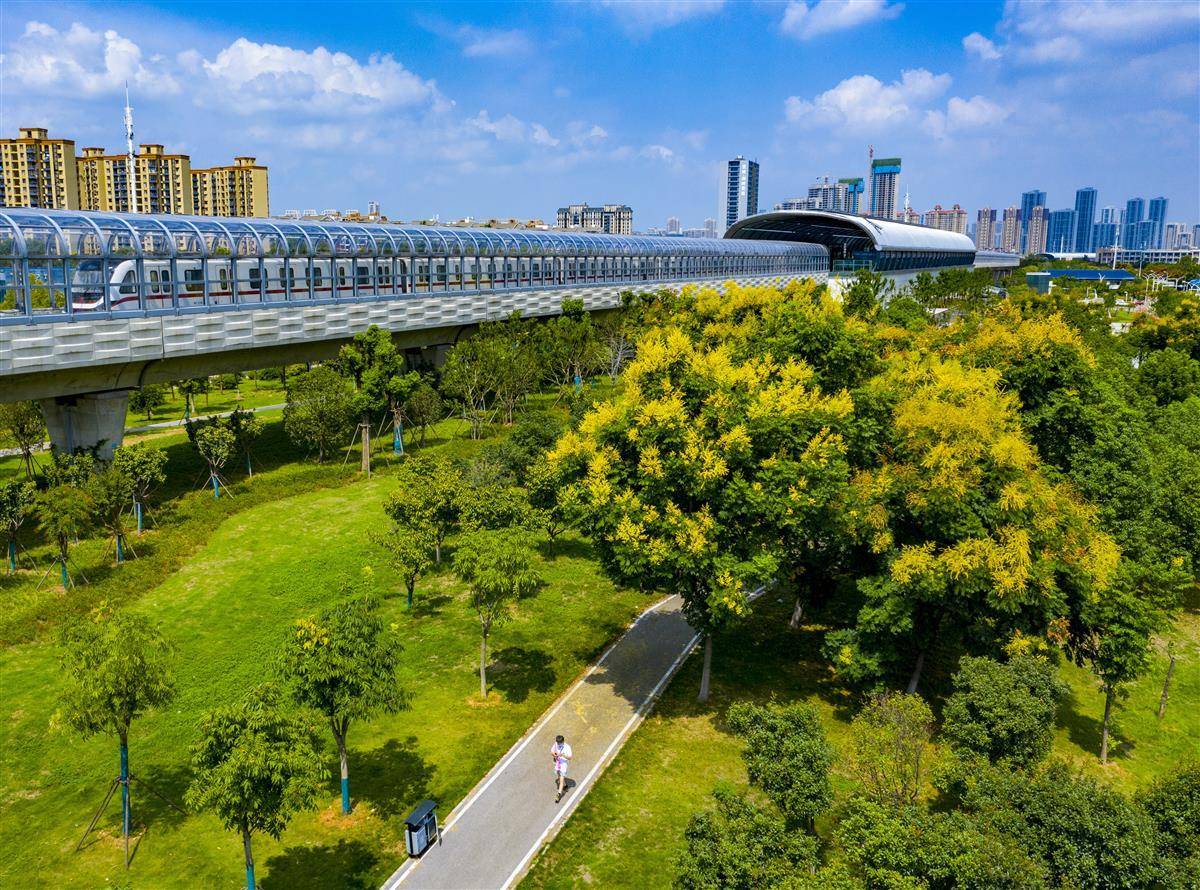 沙巴线上网址